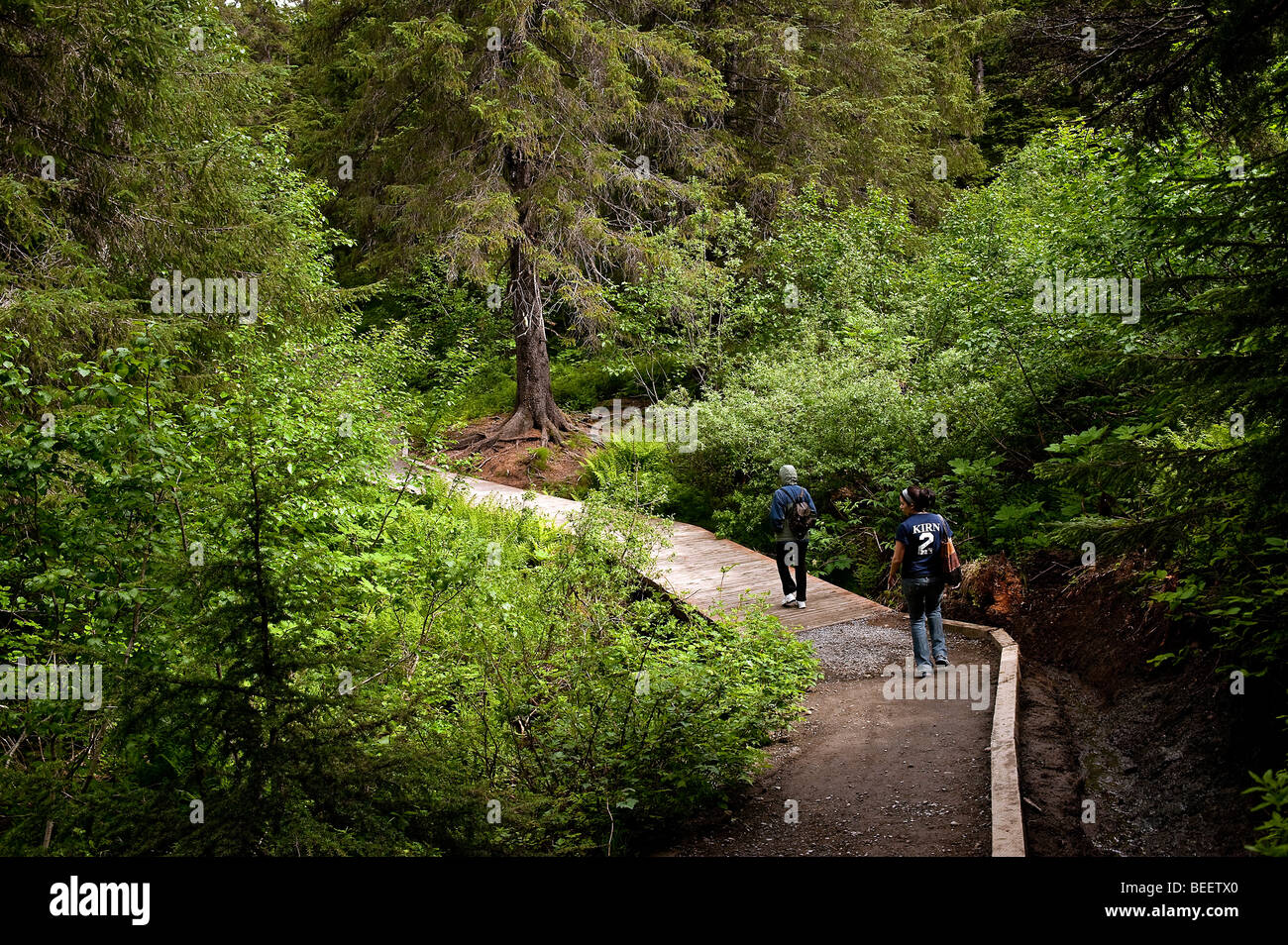 Sentier de randonnée de gagnant, la Forêt Nationale de Chugach,, Alaska, USA Banque D'Images