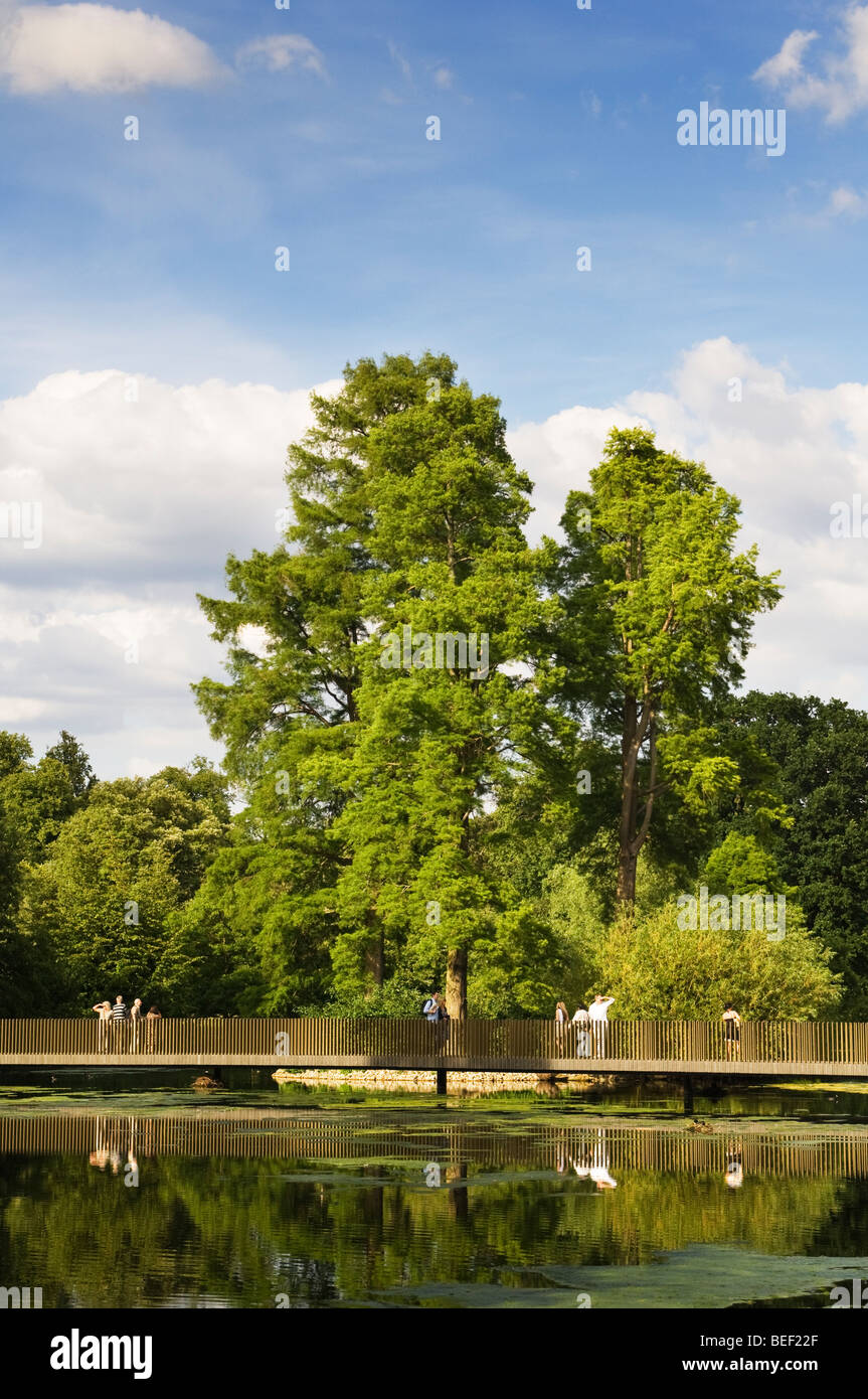 Vue de la Sackler Crossing sur le lac à Kew Gardens. Banque D'Images