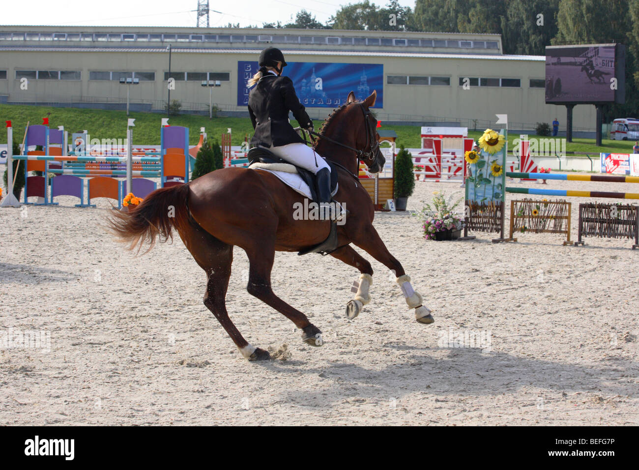 Un cavalier au galop à cheval de saut d'arena de Moscou de concours complet 2009 Banque D'Images