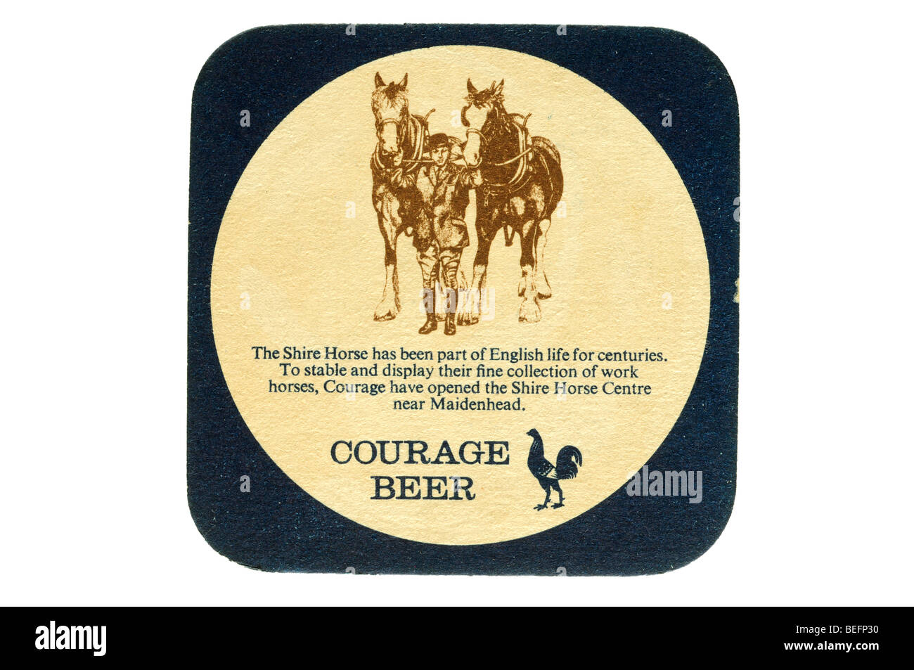 Le shire horse a fait partie de la vie anglaise s =pendant des siècles à la stabilité et d'afficher leur belle collection de chevaux de travail courage Banque D'Images