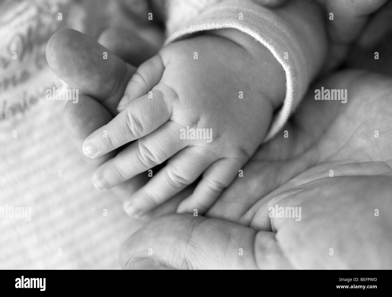 Main dans la main, la mère et l'enfant, l'âge de trois semaines . Banque D'Images