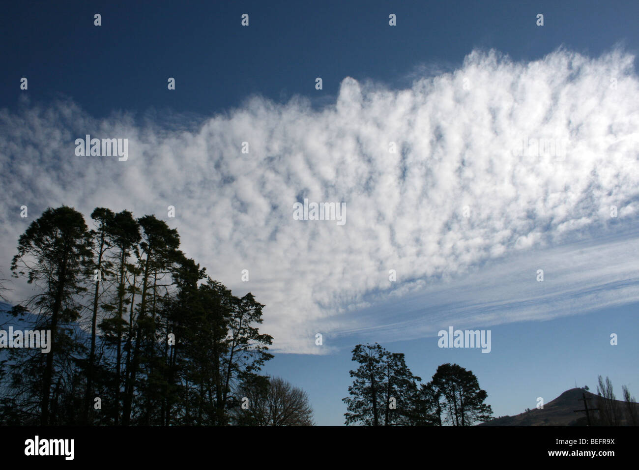 L'Altocumulus dramatique ciel prises à Underburg / Himeville, KwaZulu-Natal, Afrique du Sud Banque D'Images