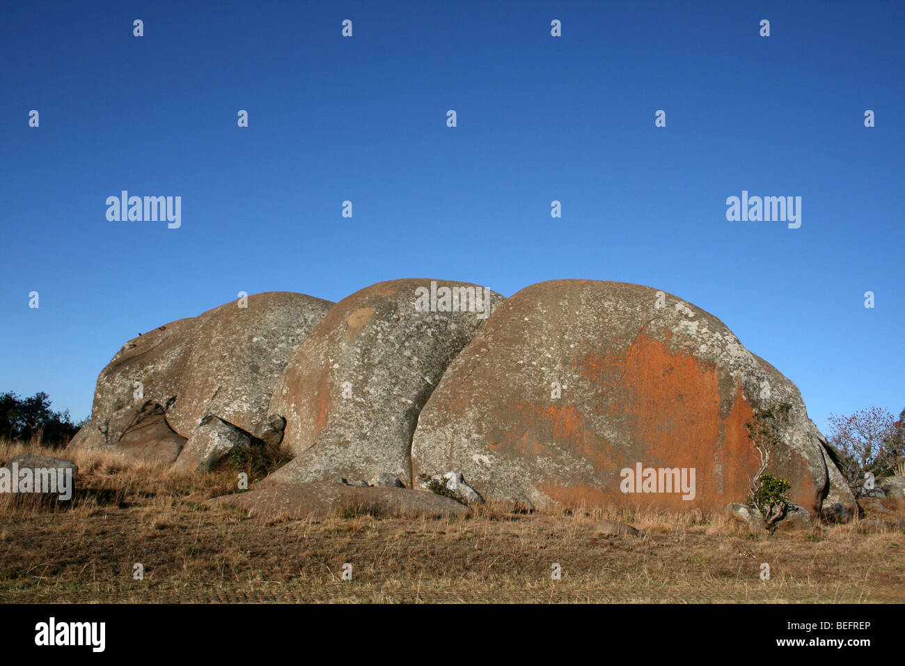 Granit Lochiel Kopje Dans Malolotja Parc National, Swaziland, Afrique du Sud Banque D'Images