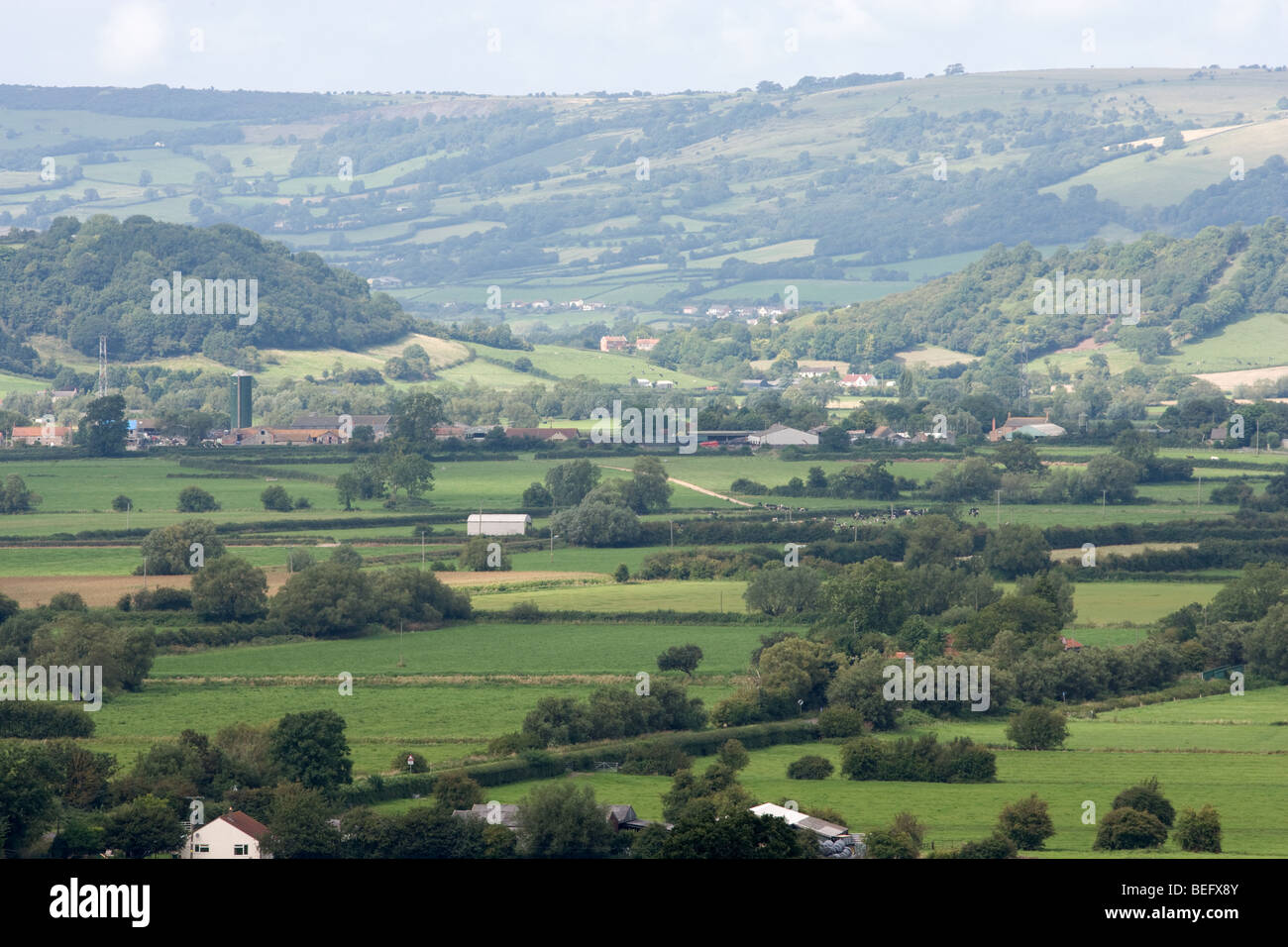 Les terres agricoles dans le Somerset Levels près de Glastonbury Banque D'Images