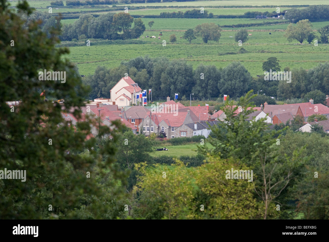 Pour habitations construites sur le Somerset Levels Banque D'Images