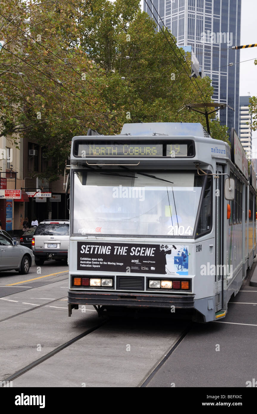 Le tram passe au nord Guanaco sur Swanston Street Melbourne, Australie Banque D'Images