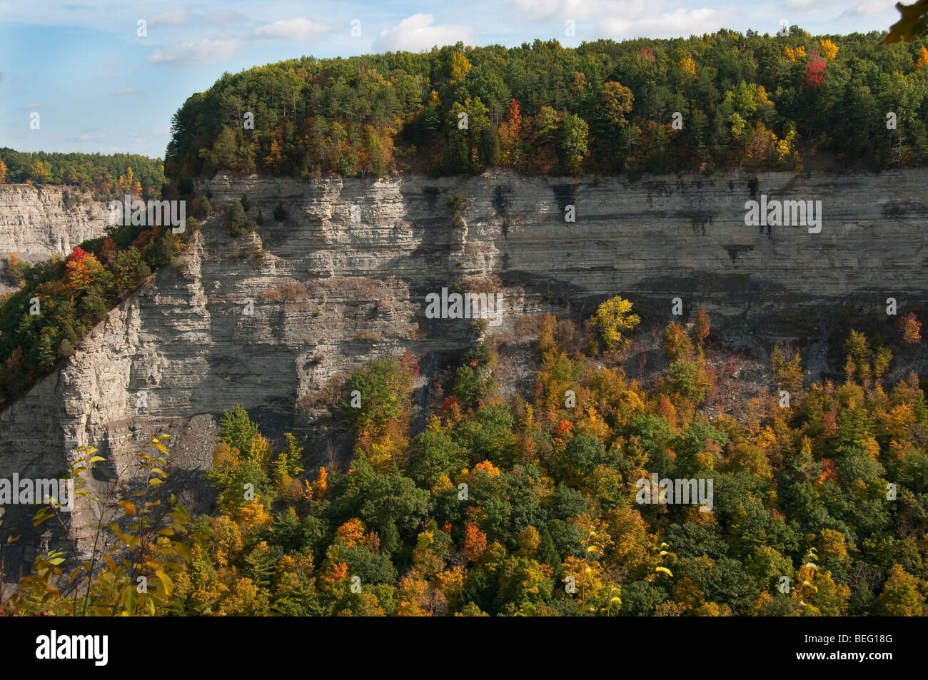 La Gorge de la rivière Genesee à Letchworth State Park, NY USA. Banque D'Images