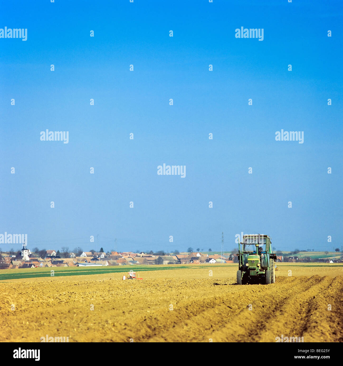 La récupération du tracteur sol d'un champ de pommes de terre plantées, Alsace, France Banque D'Images