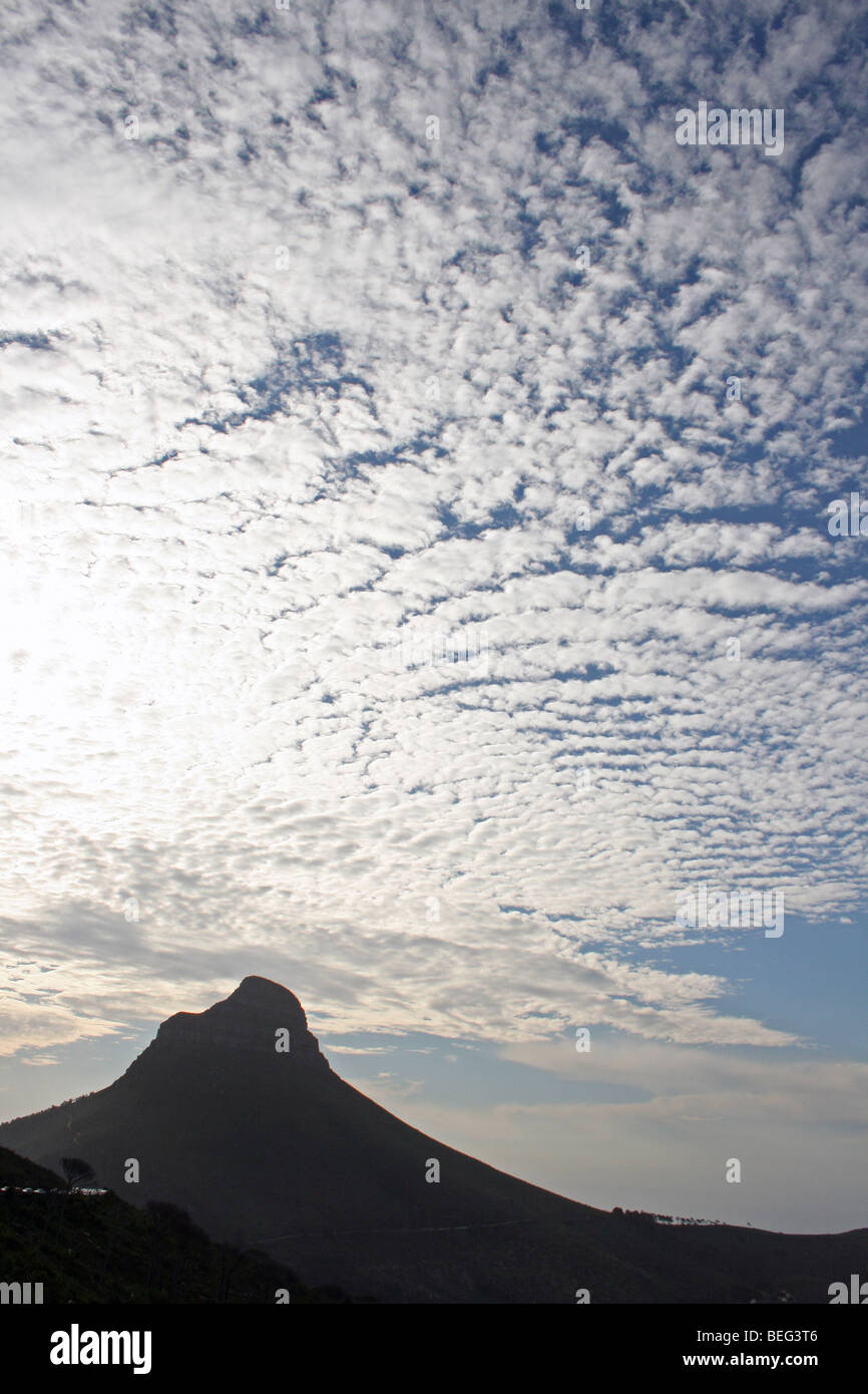 Tête de lion, avec des Altocumulus Sky, Table Mountain, Cape Town, Afrique du Sud Banque D'Images