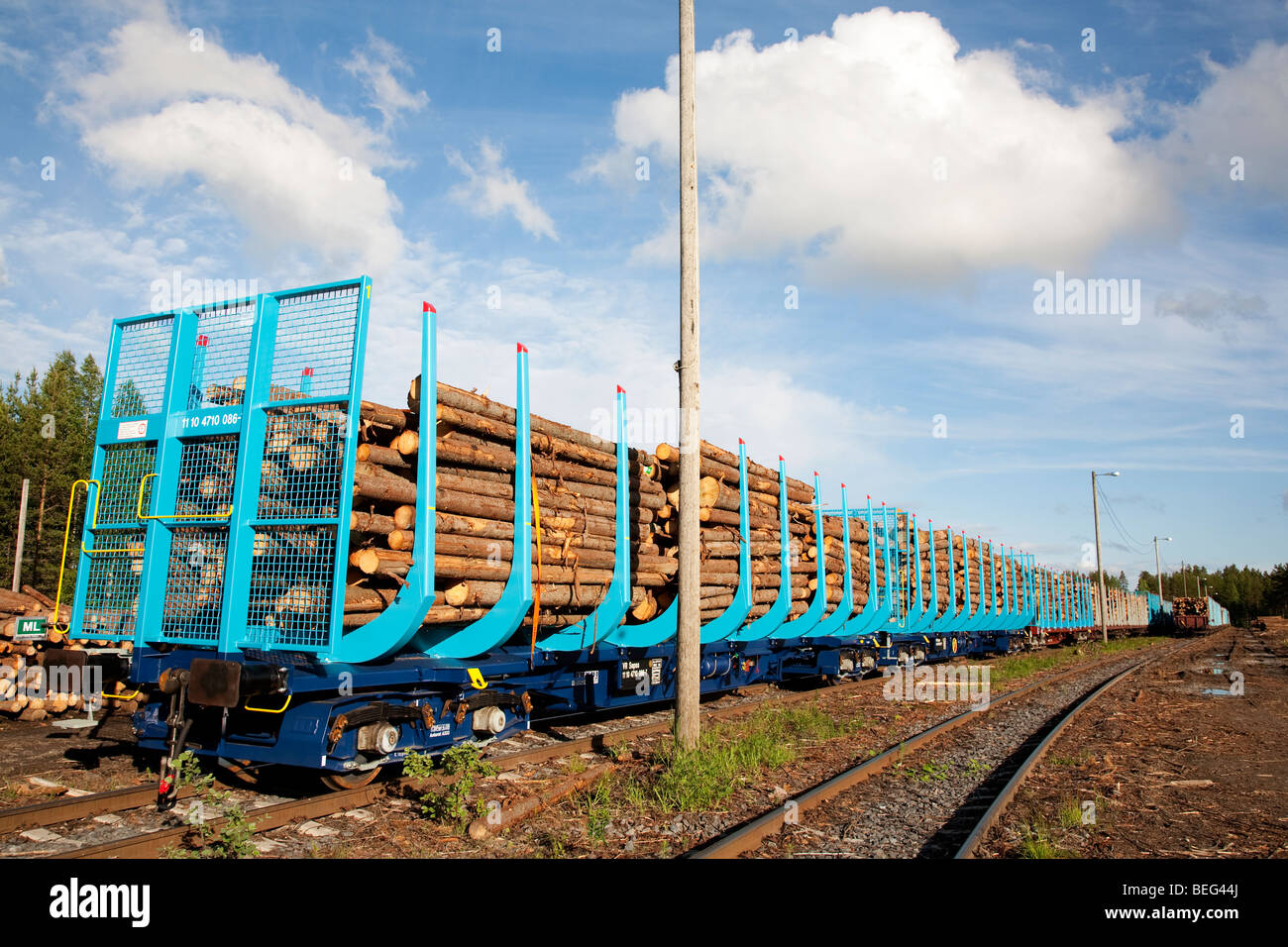 Chargement de train ( epicéa picea abies ) sciage , Finlande Banque D'Images