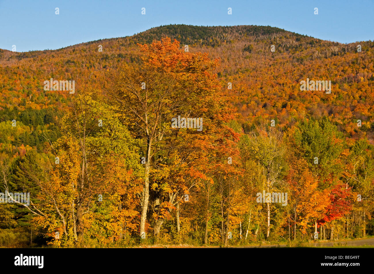 Virginia's Mad River Valley à l'automne Banque D'Images