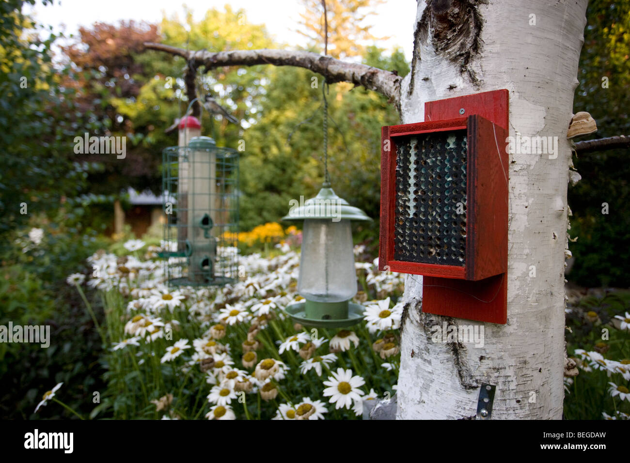 Jardin Jardin fleuri avec des mangeoires et des beehive Banque D'Images