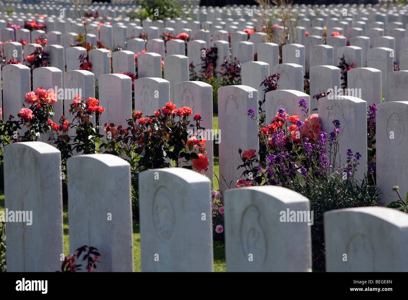 Vue sur le cimetière militaire de Tyne Cot. Cimetière britannique de la Première Guerre mondiale avec 11 856 pierres tombales blanches. Banque D'Images