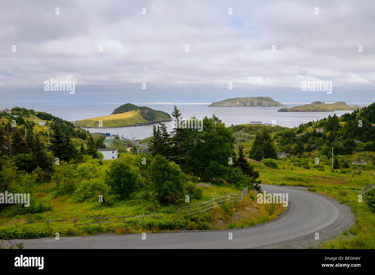 Route qui serpente jusqu'à Tors Cove Harbour avec Fox et l'île Grande et l'île de Terre-Neuve, navire d'oiseaux migrateurs Banque D'Images