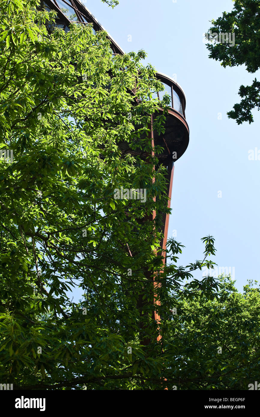 Détail de Xstrata Treetop Walkway. Jardin botanique royal de Kew Gradens Banque D'Images