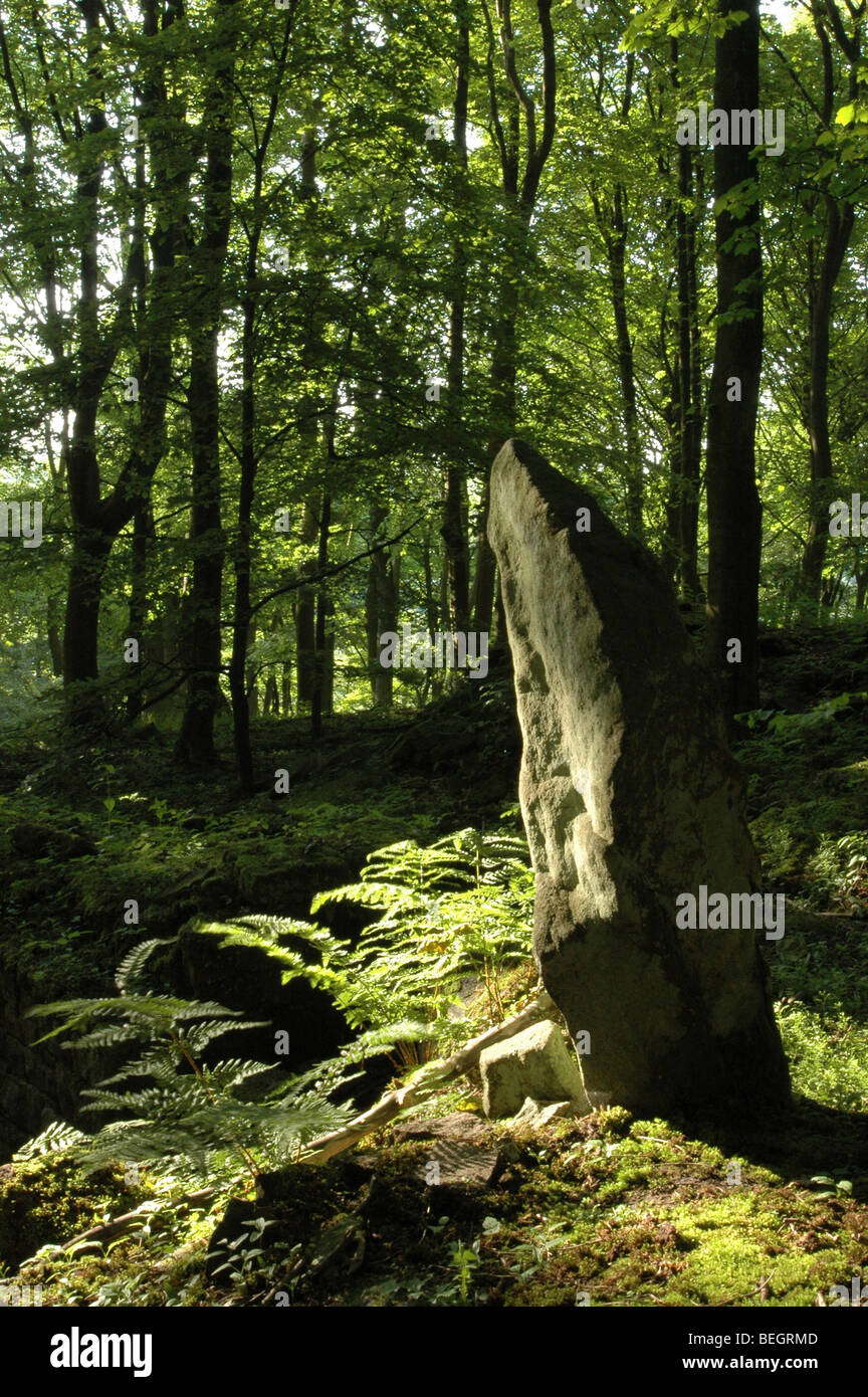 Standing Stone dans Withnell Plantation, Chorley Banque D'Images