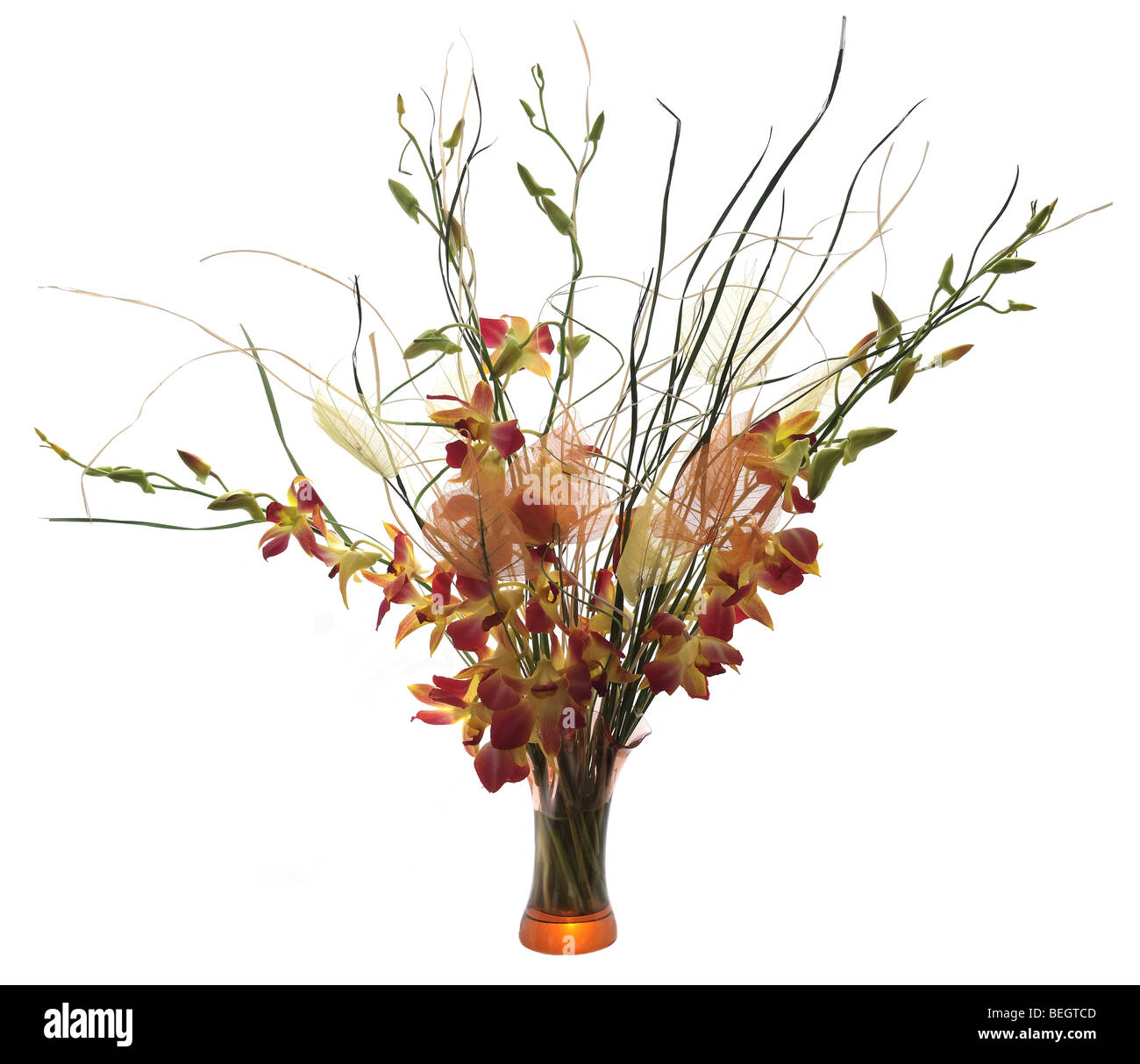 Bouquet d'orchidées dans le vase. Isolé sur fond blanc Banque D'Images