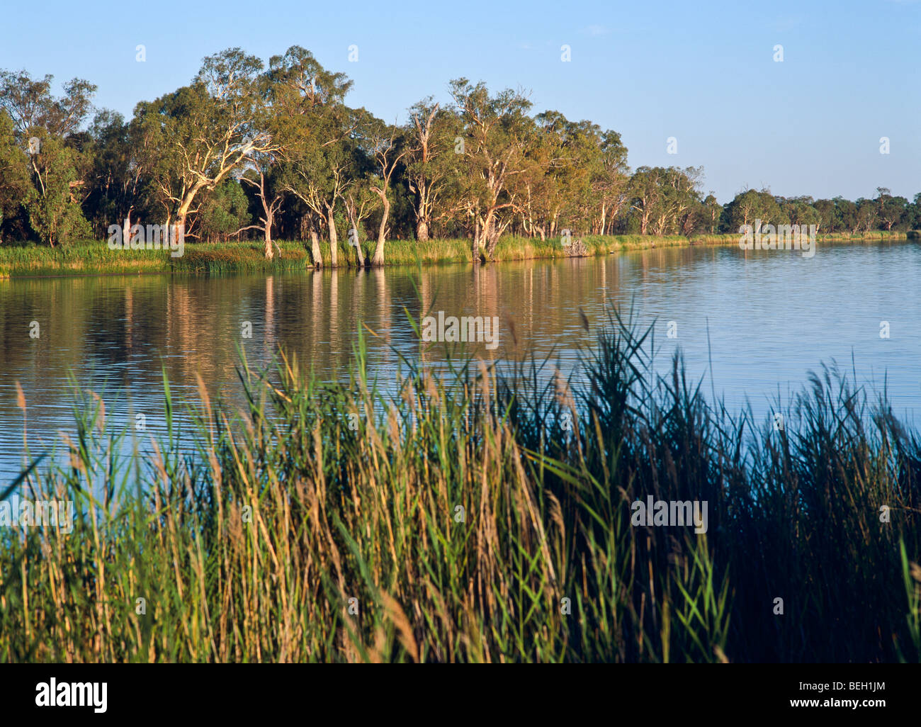 Murray River scenic, Australie du Sud Banque D'Images