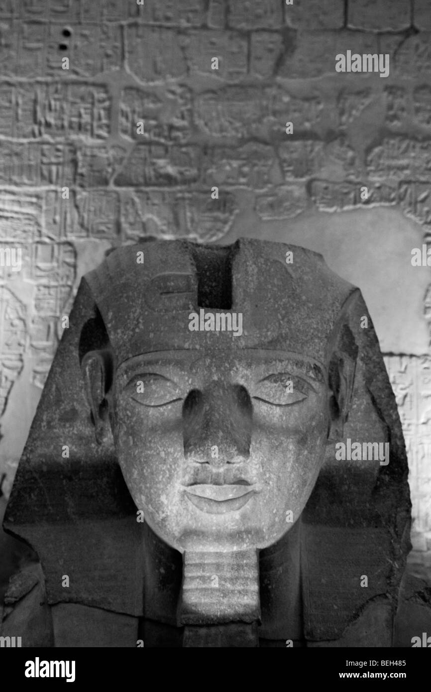 Tête de statue de Ramsès II au temple de Louxor, Louxor, Egypte Banque D'Images