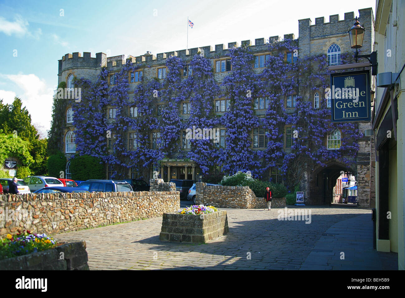 Wisteria grandit la face du Château Hotel, Taunton, Somerset, England UK Banque D'Images