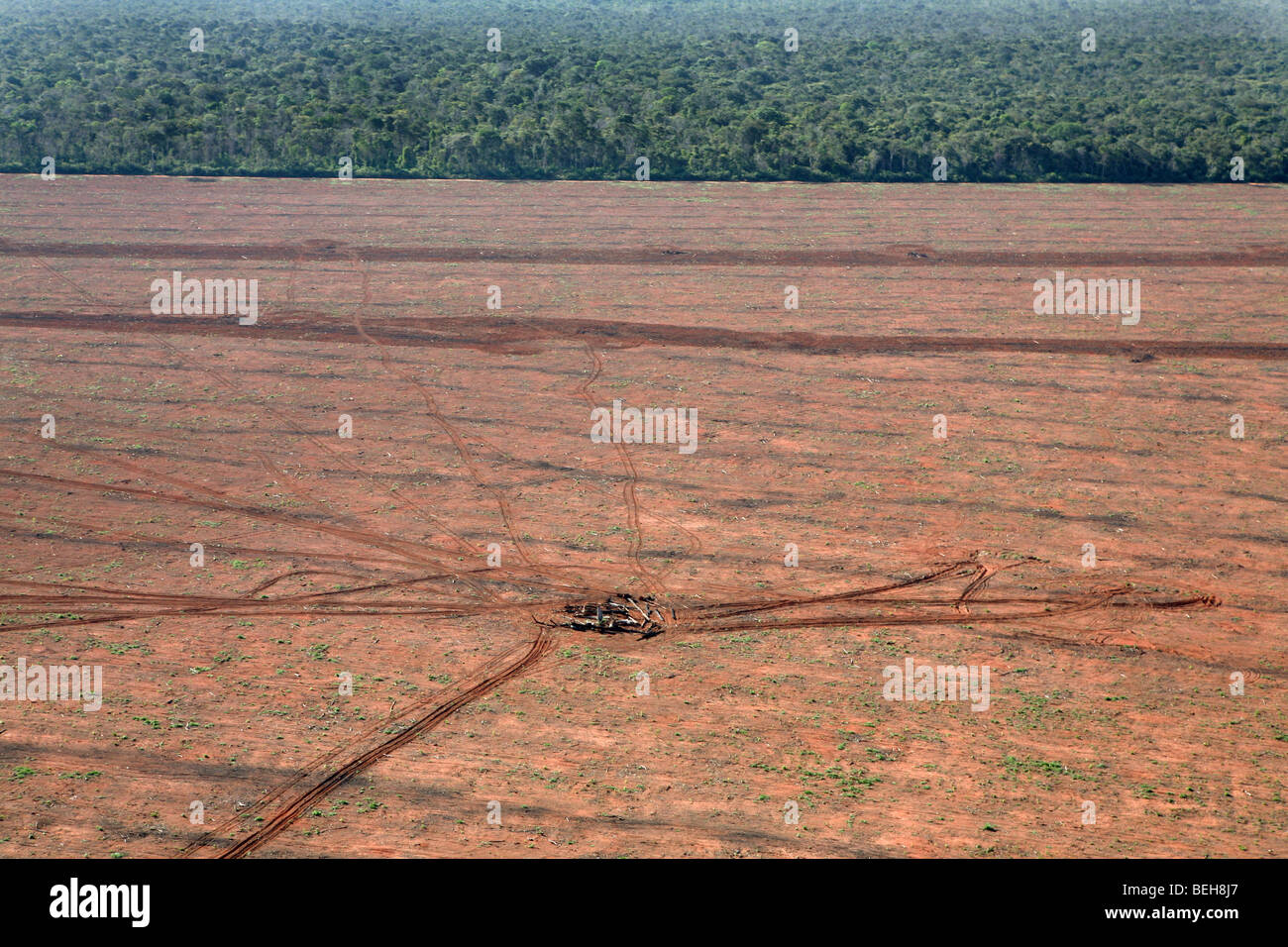 Un lrage partie de l'Amazone a été détruit et transférés dans les terres agricoles. Les principales cultures sont cultivées sont le soja, l'herbe fo Banque D'Images