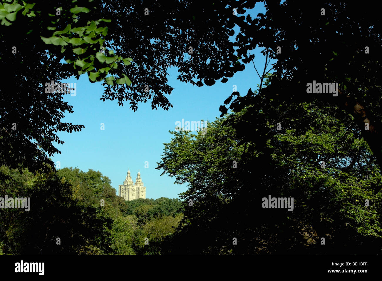 Silhouette d'arbres avec des bâtiments en arrière-plan Banque D'Images