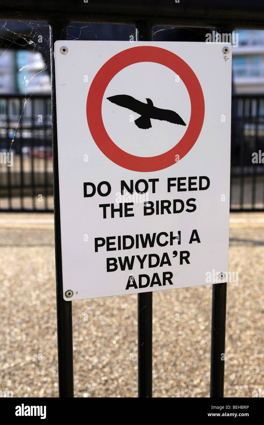 Ne Pas Nourrir Les Oiseaux Signe écrit En Anglais Et Gallois