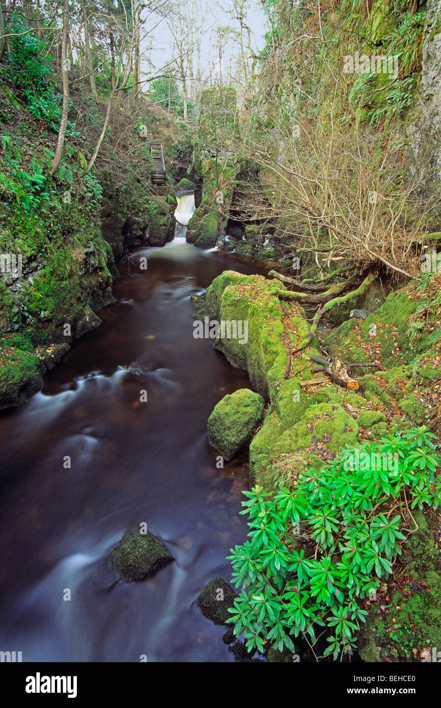 Rumbling Bridge Gorge, Yetts o' Muckhart Banque D'Images