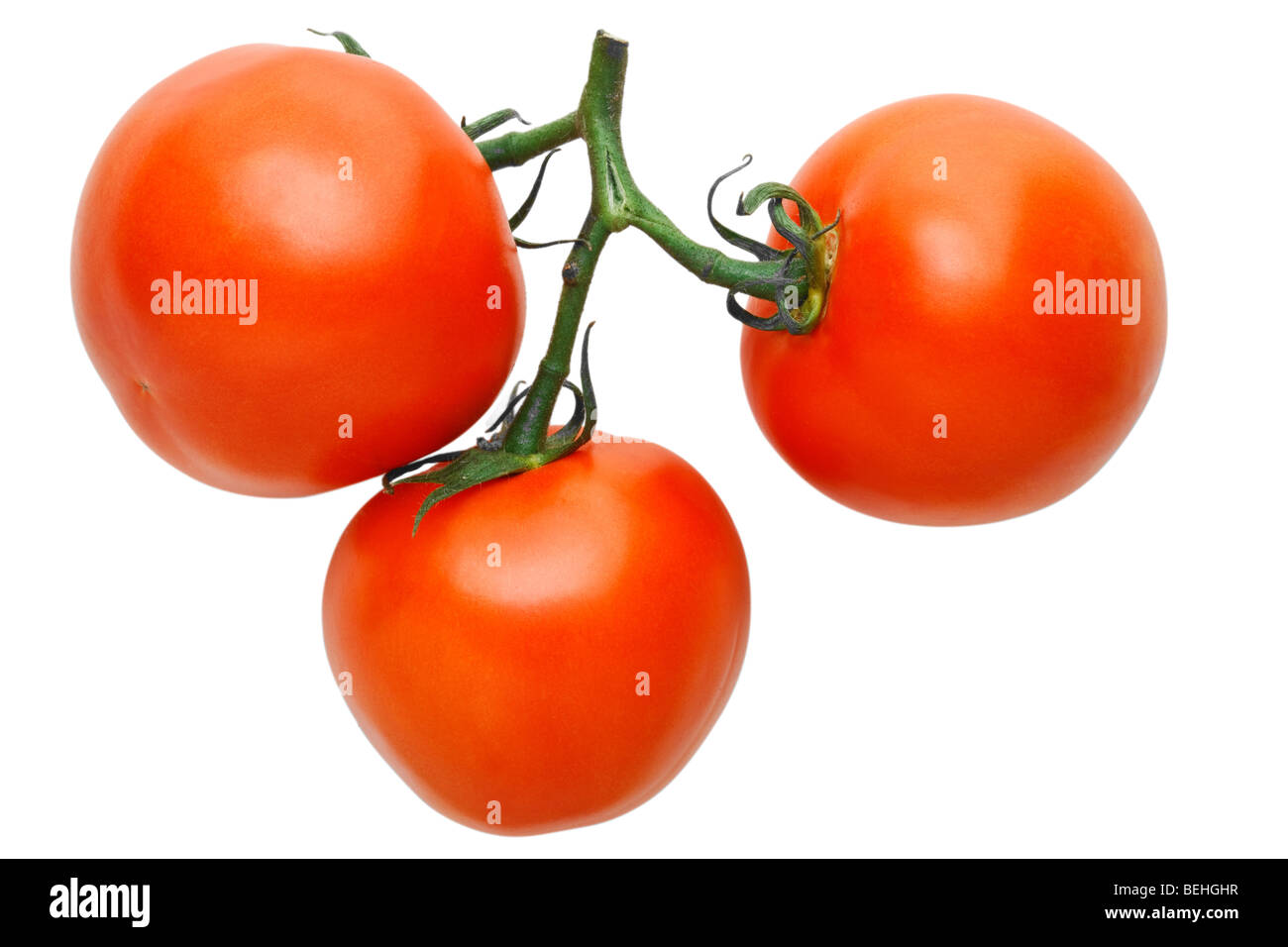 Bouquet de tomates isolated on white Banque D'Images