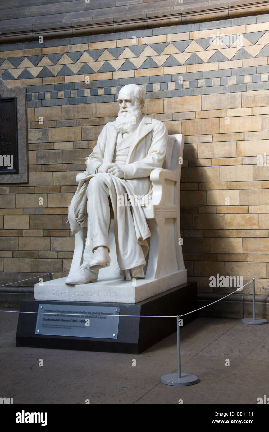 Statue de Charles Darwin Natural History Museum London England Photo