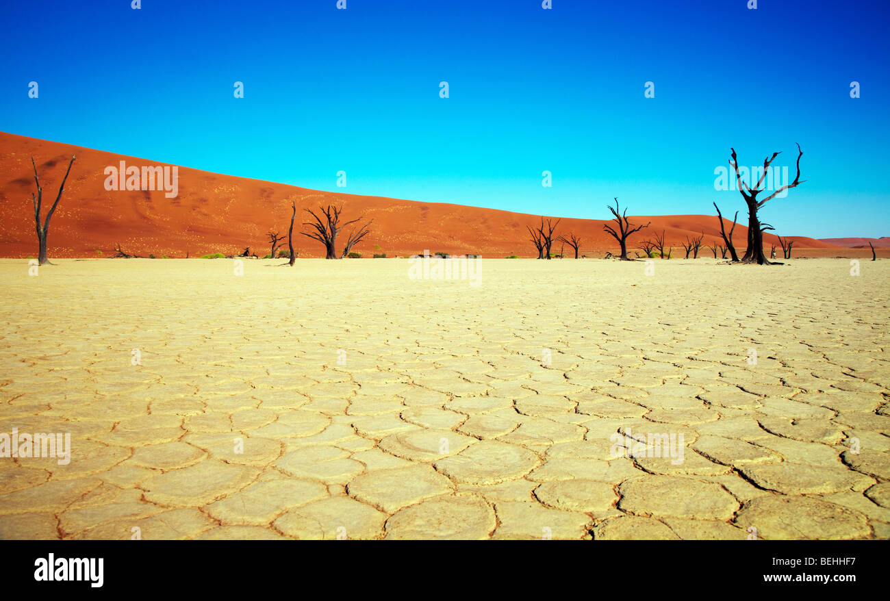 Dead Vlei Sossusvlei, Namibie Namib Naukluft Park, Banque D'Images