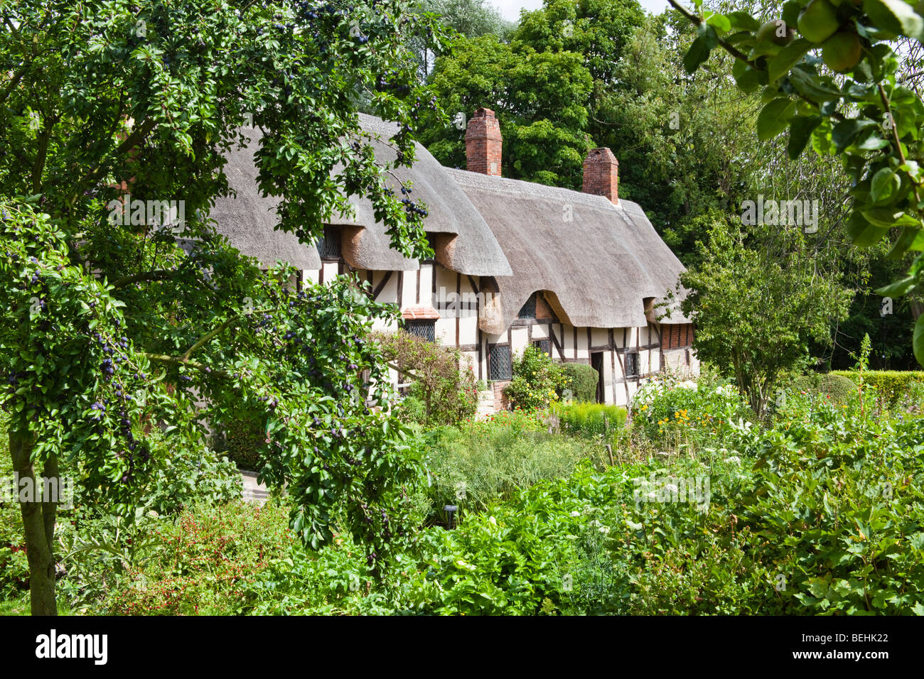 Anne Hathaway's Cottage, Shottery, Stratford-upon-Avon, Warwickshire Royaume-Uni - Anne était l'épouse de William Shakespeare. Banque D'Images