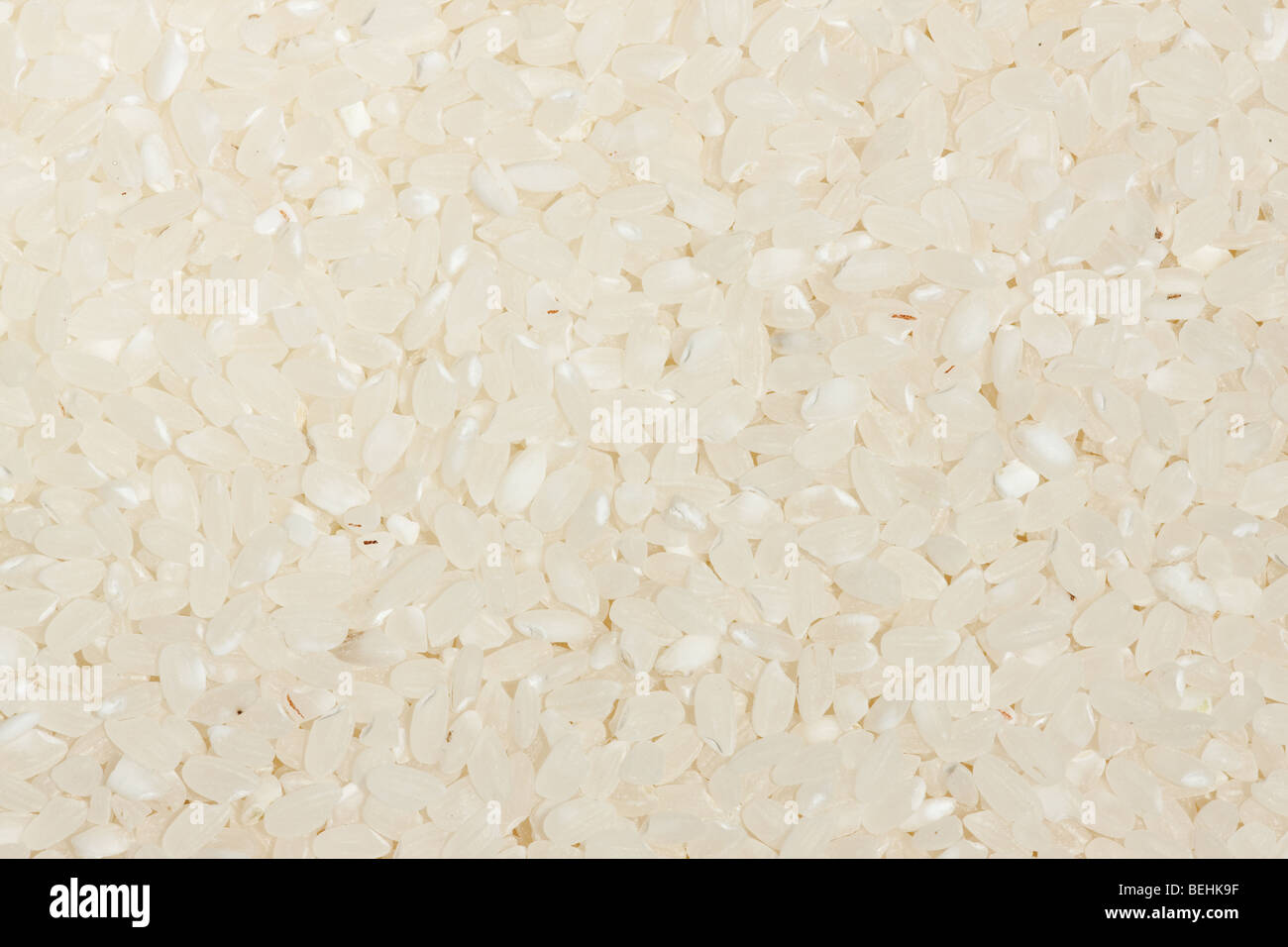 Arrière-plan de riz blanc Banque D'Images