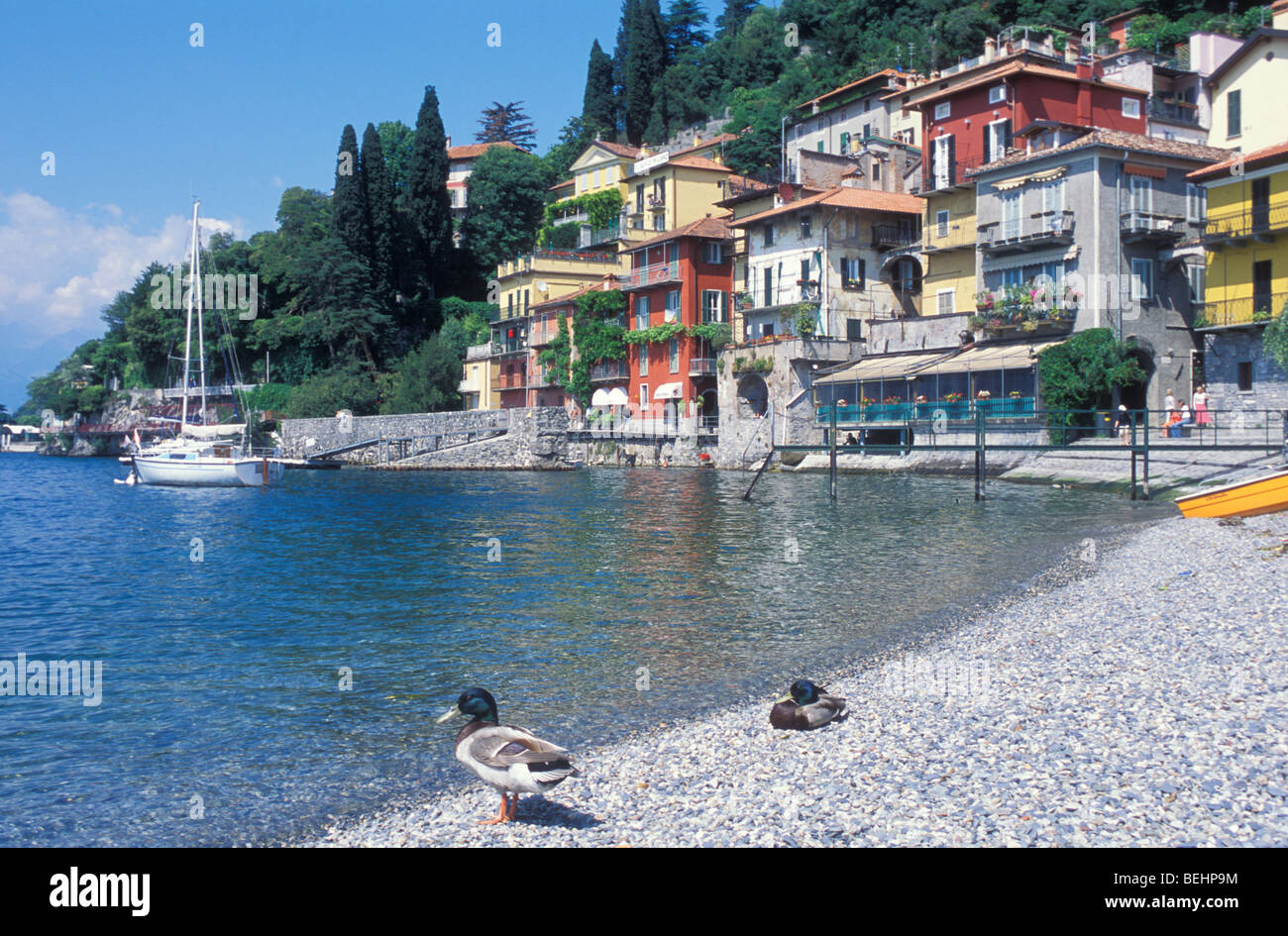 Avis de Varenna, Lac de Côme, Lombardie, Italie Banque D'Images