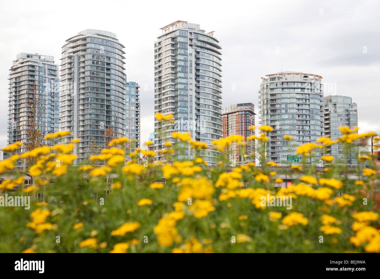 Appartement moderne à des capacités grâce à fleurs jaunes Banque D'Images