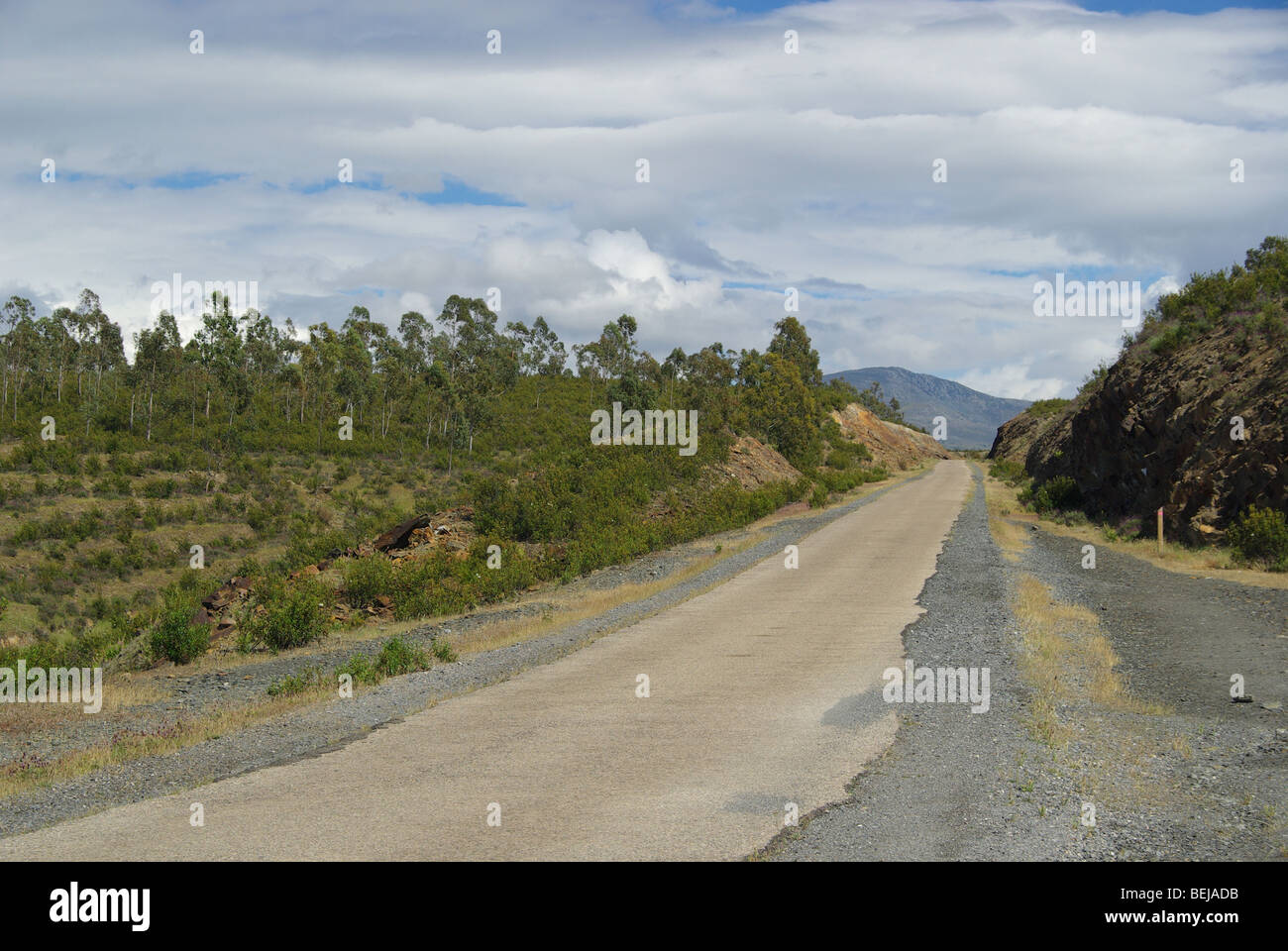 Grenadille 05 Banque D'Images