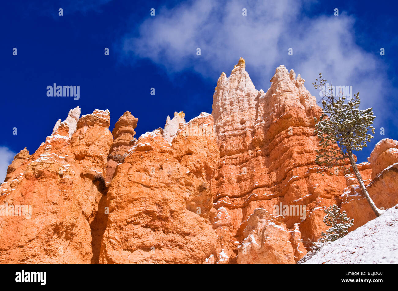 Des formations rocheuses et de poudreuse le long de la boucle Navajo, Bryce Canyon National Park, Utah Banque D'Images