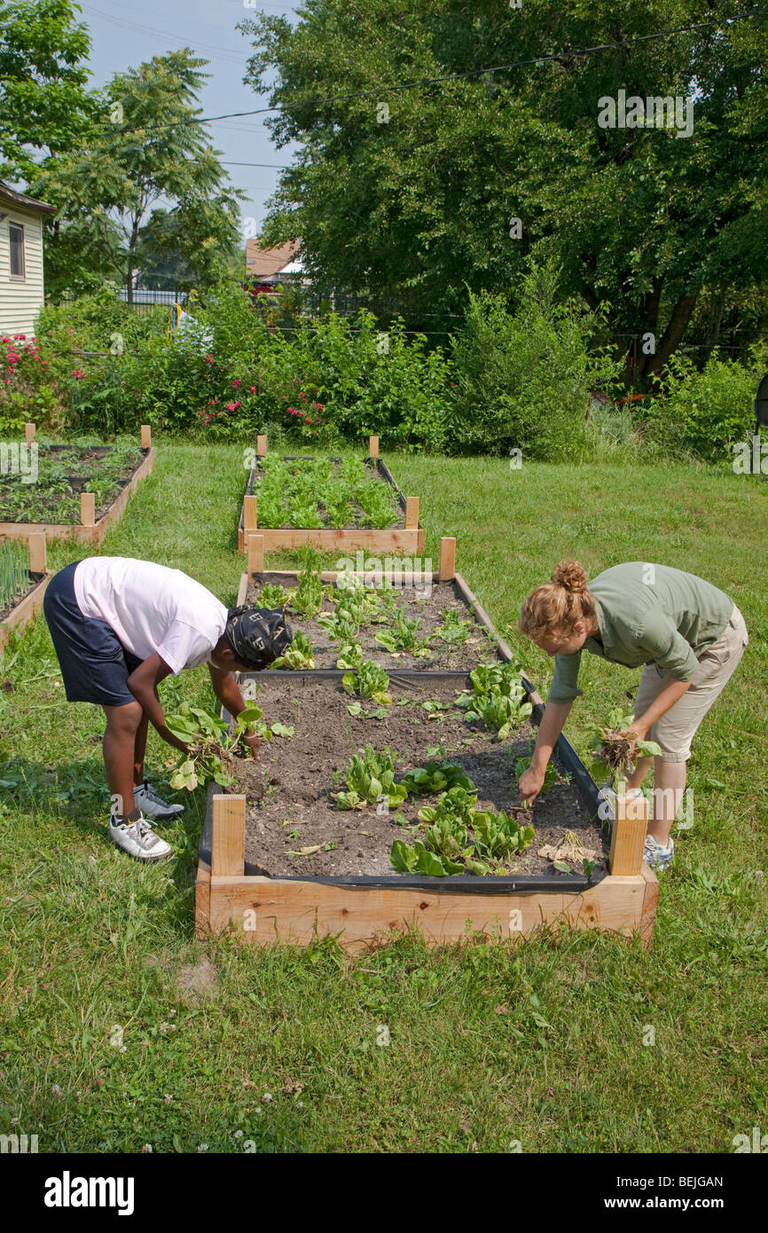 Le travail des enfants dans le jardin, la culture d'aliments pour soup kitchen Banque D'Images