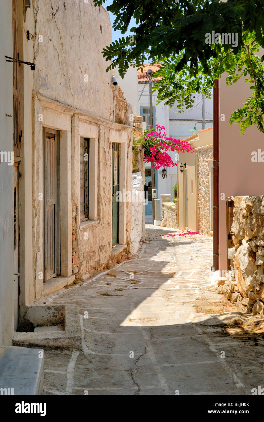 Une belle vue sur la ruelle étroite au coeur du petit village historique de Halki. Halki, Tragaea, Naxos, Cyclades, Grèce... Banque D'Images