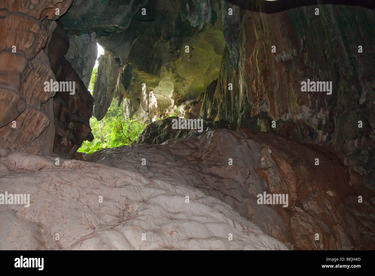 Gua Tempurung cave intérieur montrant la forêt couverte de l'entrée Banque D'Images