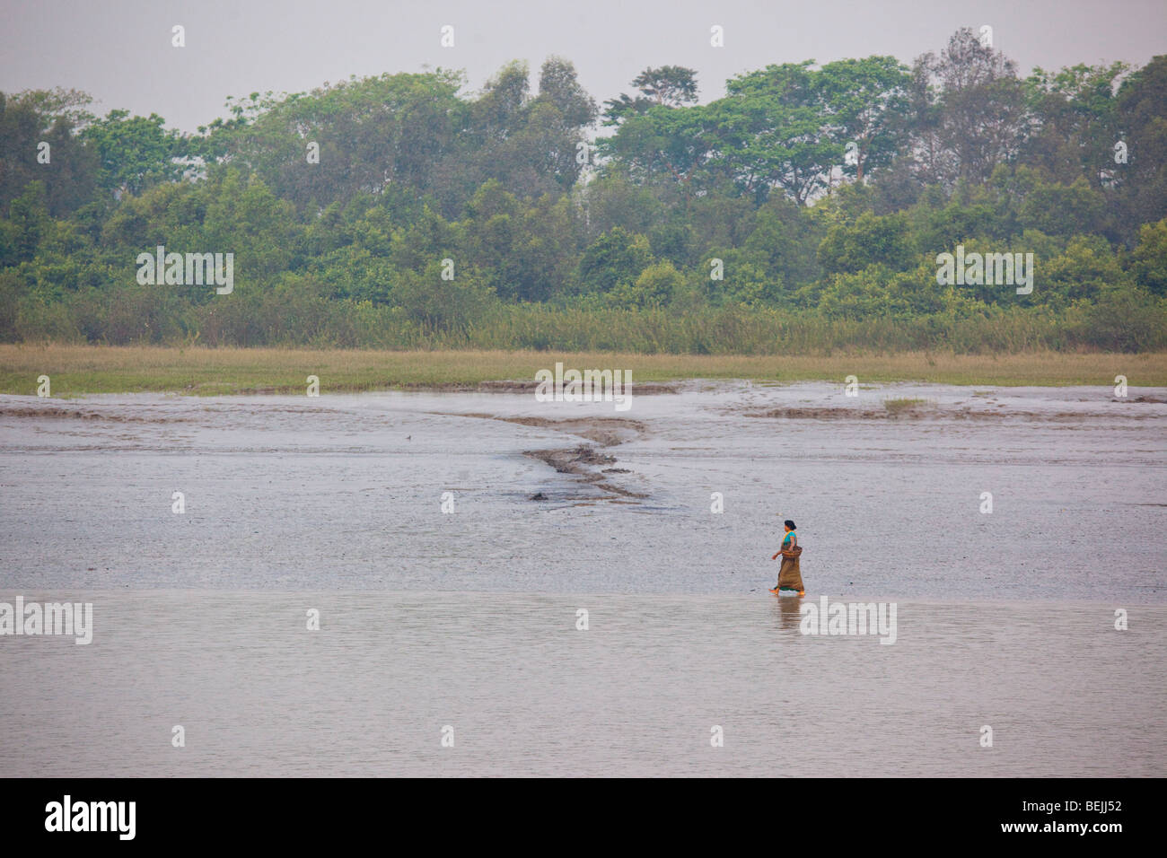 Vu de la Fusée : femme attraper des crabes sur le Brahmapoutre au Bangladesh Banque D'Images