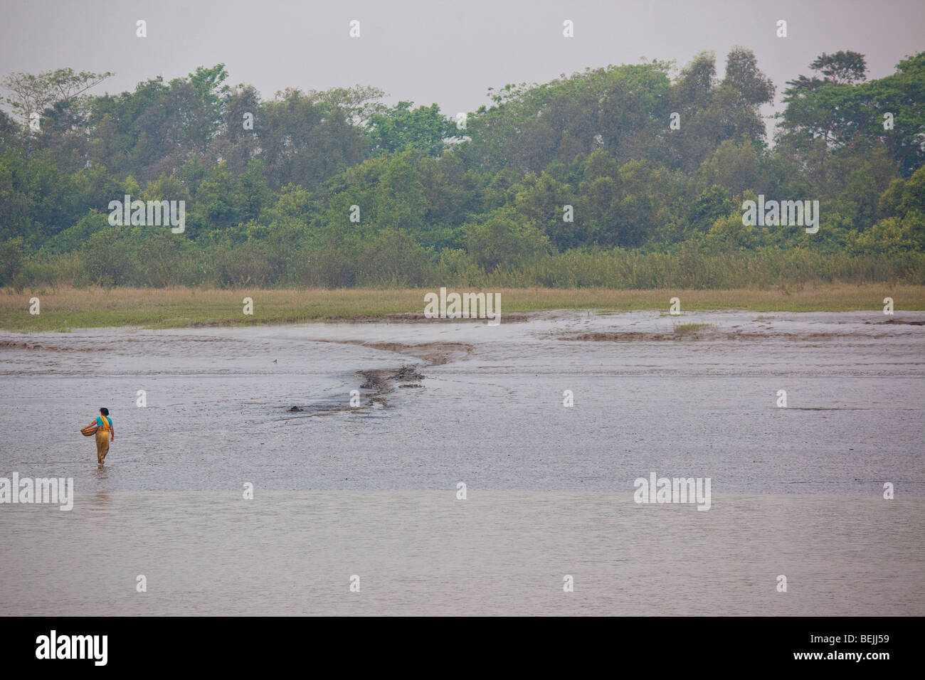 Vu de la Fusée : femme attraper des crabes sur le Brahmapoutre au Bangladesh Banque D'Images