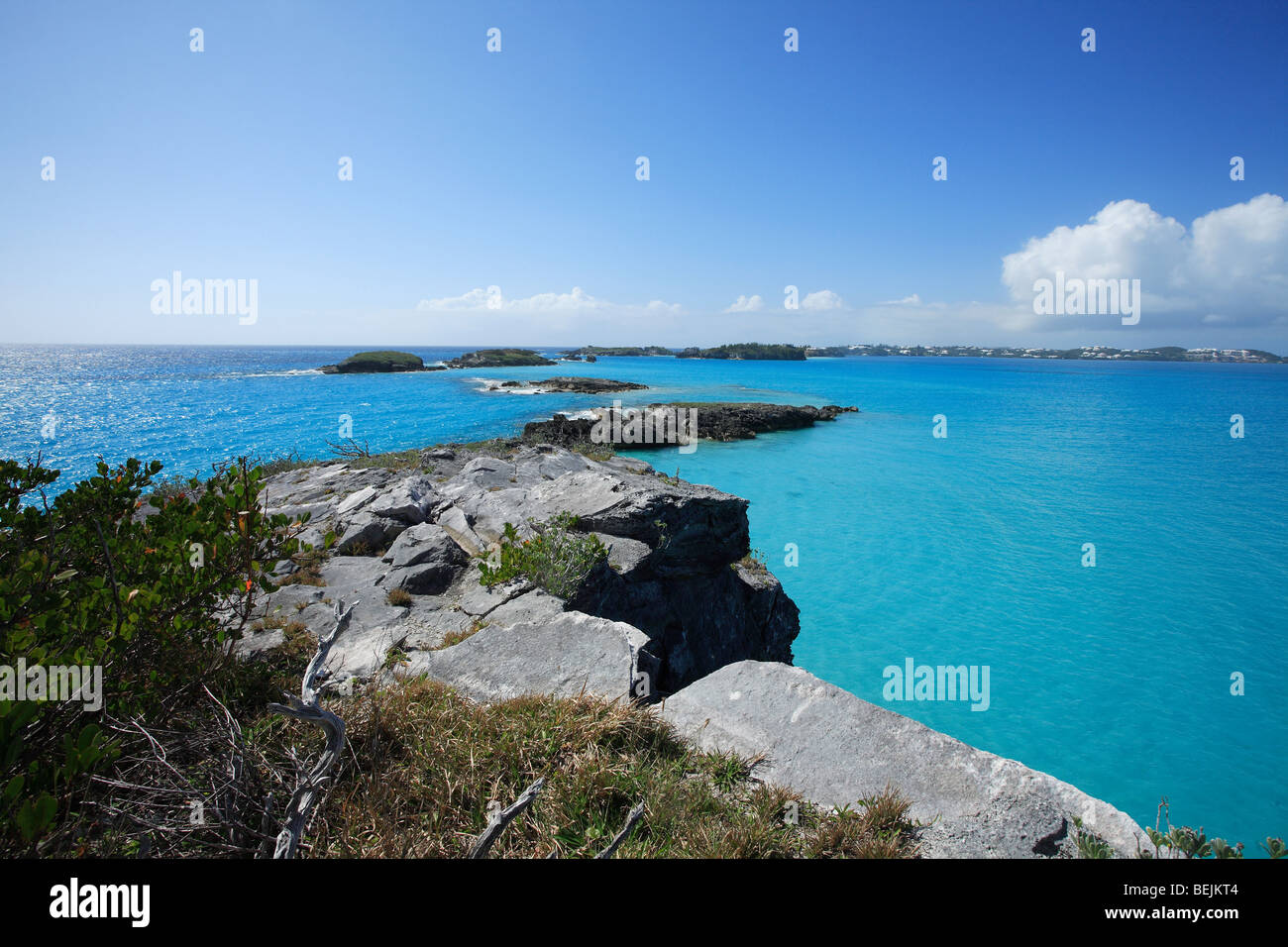 Réserve naturelle, Île Nonsuch, Saint George's Parish, Bermudes, Océan Atlantique, l'Amérique centrale Banque D'Images