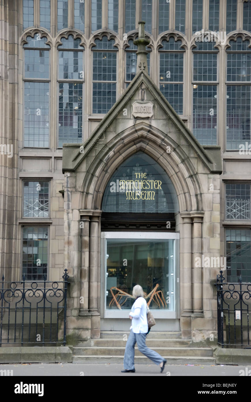 Le Manchester Museum de Oxford Road, Manchester, England, UK Banque D'Images