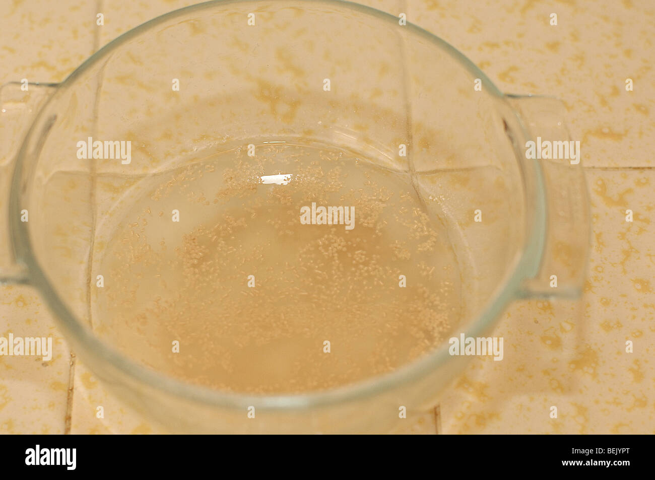 Mélanger la levure et l'eau chaude en préparation pour faire de la pate fermentee qui deviendra un volet Siciliano miche ou pain artisanal Banque D'Images