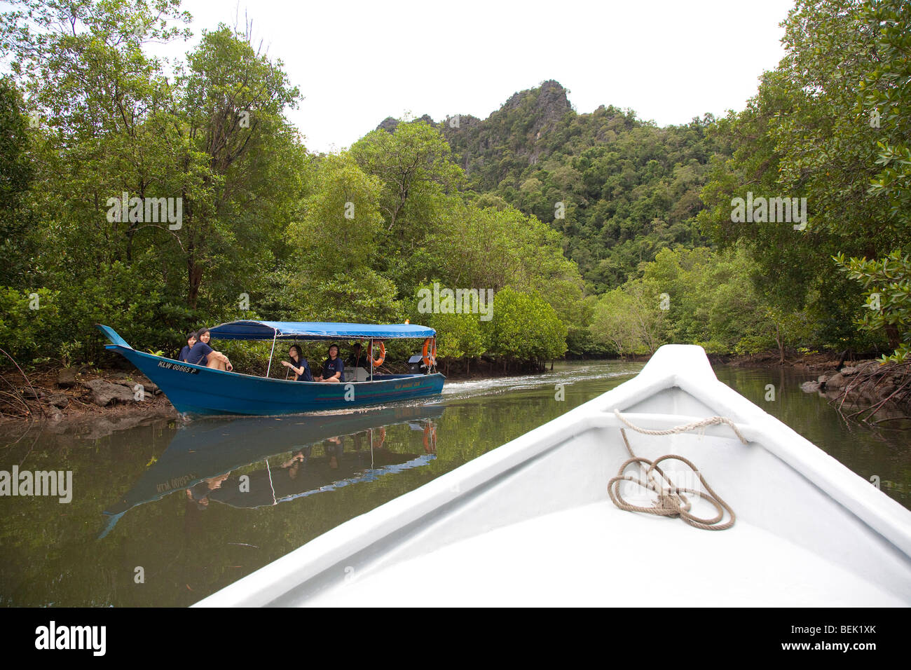Geopark - Langkawi Kedah, Malaisie, mangrove excursions en bateau pour les touristes eco Banque D'Images