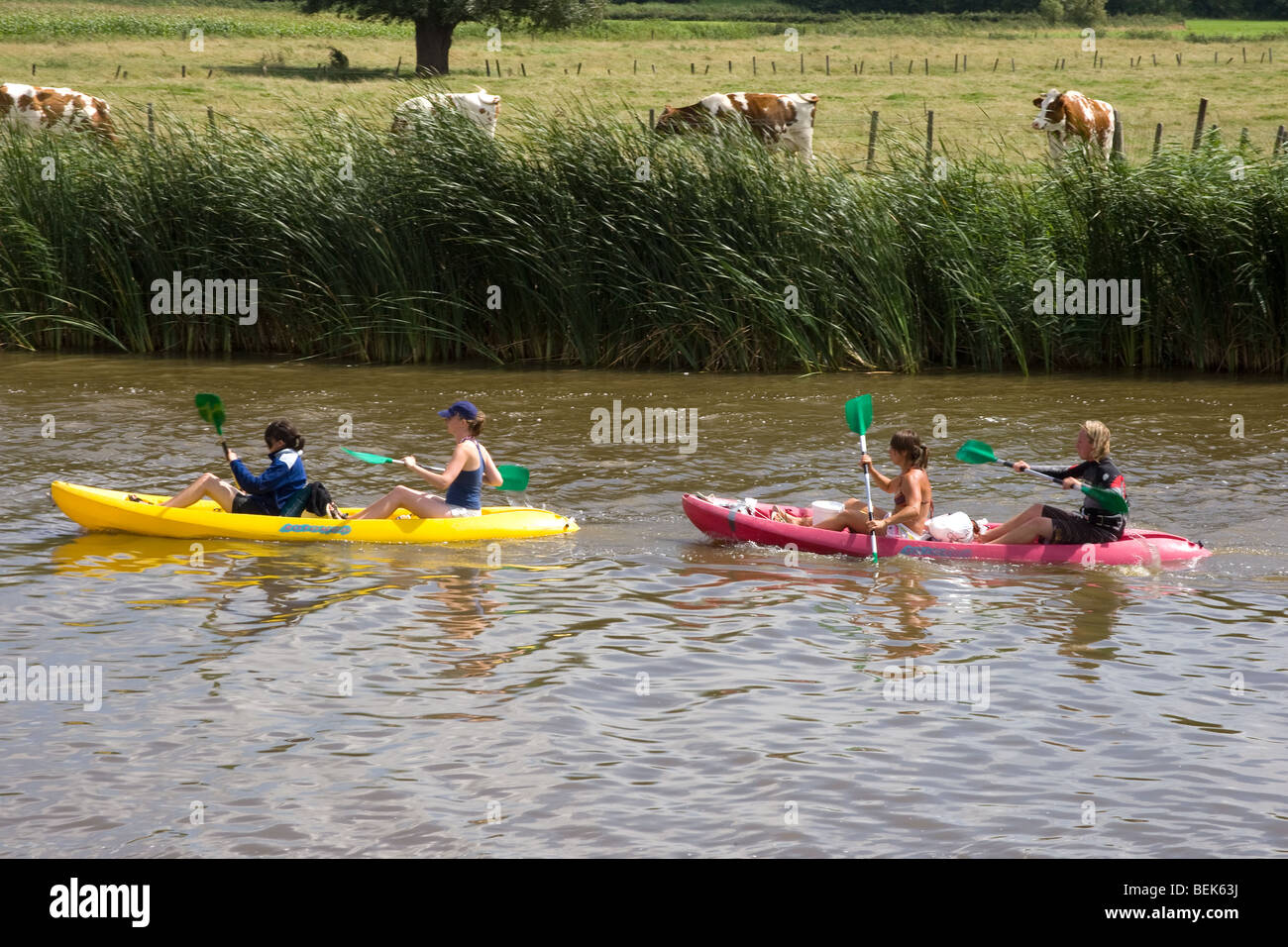 Le kayak sur la rivière IJzer Lo-Reninge, Belgique Banque D'Images