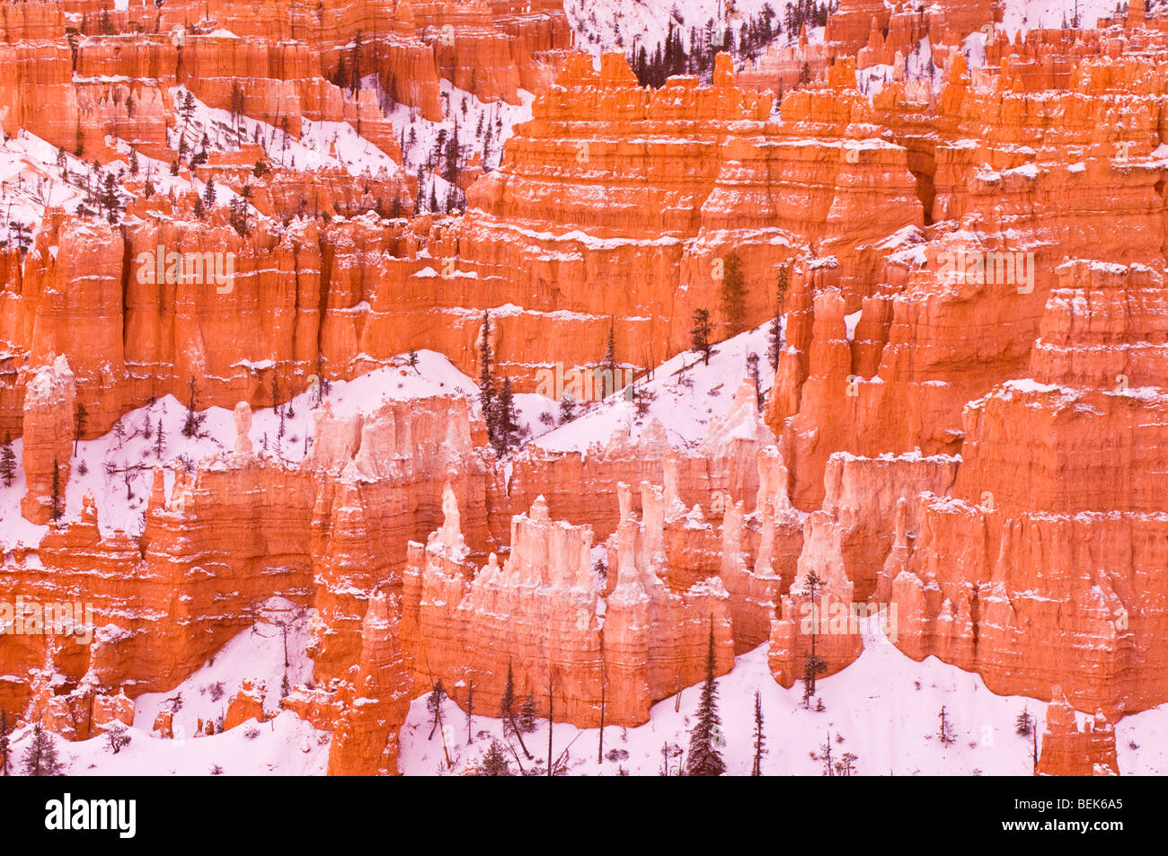 Lumière du soir sur la neige-depoussierage rock formations ci-dessous Sunset Point, Bryce Canyon National Park, Utah Banque D'Images