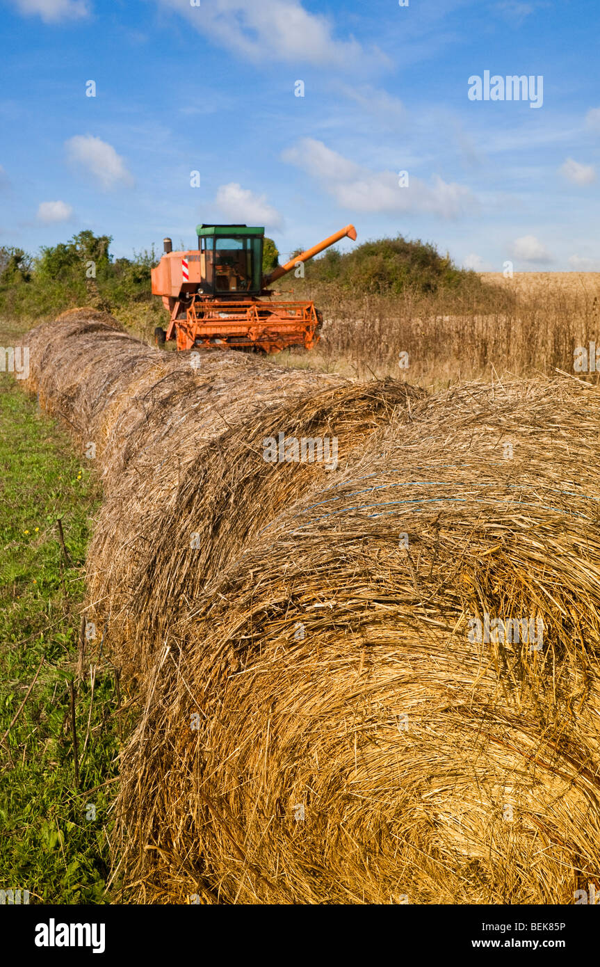 Rouleaux de paille et de vieux Fiat Someca moissonneuse batteuse - Indre, France. Banque D'Images