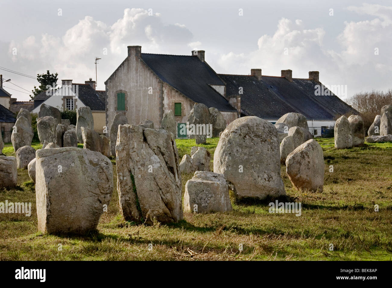 Menhirs néolithiques / menhirs de Carnac, Bretagne, France Banque D'Images